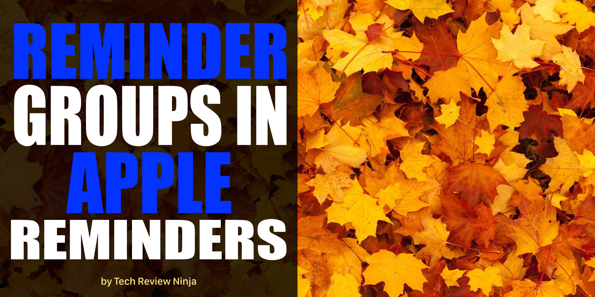 How to Create Reminder Groups in Apple Reminders on the Mac Tech